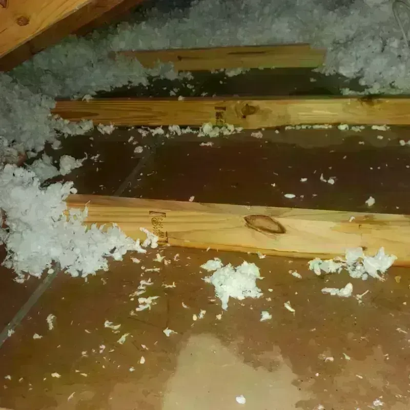 Attic Water Damage in Princeton, FL