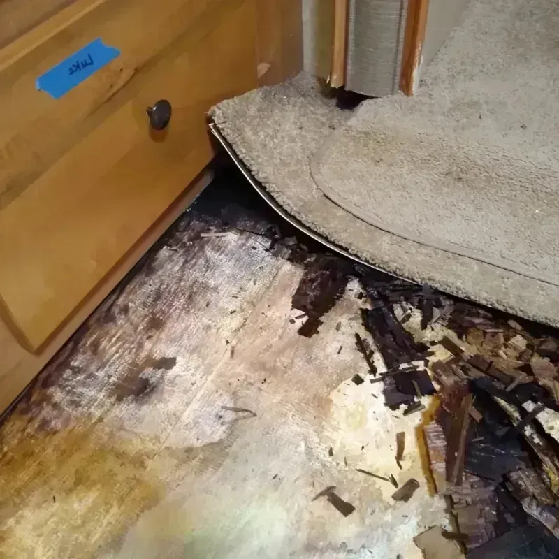 Wood Floor Water Damage in Princeton, FL